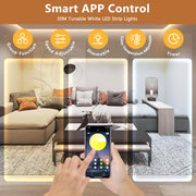 White_LED_Strip_Lights,_100ft_Dimmable_Bright_24V_Led_Tape_Light_with_Remote_and_App_Control,_2700K-6500K_White_LEDs_Lights_for_Bedroom,_Kitchen,_Ceiling