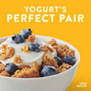 Nature_Valley_Crunchy_Granola,_Oats_and_Honey,_Resealable_Snack_Pouch,_Family_Size,_24_oz