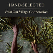 10_Organic_Madagascar_Whole_Vanilla_Beans,_Grade_A_Pods,_Premium_Vanilla_Beans_for_Making_Extract_&_Baking_-_Cook’s