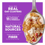 Kellogg's_Special_K_Breakfast_Cereal,_Family_Breakfast,_Fiber_Cereal,_Giant_Size,_Fruit_and_Yogurt,_22oz_Box_(1_Box)