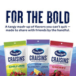 Ocean_Spray®_Craisins®_Sweetened_Dried_Cranberries,_Sour_Blueberry_Lemon,_6oz_Pouch