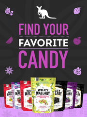 Wiley_Wallaby_7.05_Ounce_Classic_Black_Gourmet_Australian_Style_Soft_&_Chewy_Licorice_Candy_Bean,_1_Pack