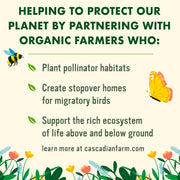 Cascadian_Farm_Organic_Cinnamon_Oat_Clusters_Cereal,_Made_with_Whole_Grain,_Non-GMO,_15_oz