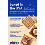 Triscuit_Cinnamon_Brown_Sugar_Whole_Grain_Wheat_Crackers,_Holiday_Crackers,_8.5_oz