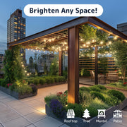 PREXTEX_100_Count_Clear_Christmas_Lights_-_Ultra_Bright_String_Lights_with_Green_Wire_for_Indoor_and_Outdoor_Use,_Christmas_Trees,_Holidays,_Patios_and_Garden