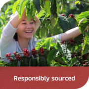 NESCAFE_CLASICO_Instant_Coffee,_Dark_Roast_Coffee,_1_Jar_(10.5_Oz)