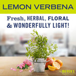 MRS._MEYER'S_CLEAN_DAY_Multi-Surface_Cleaner_Concentrate_32_fl._oz_for_Floors,_Tile,_Counters_&_Lemon_Verbena