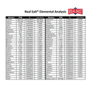 Redmond_Real_Sea_Salt_-_Natural_Unrefined_Gluten_Free_Fine,_10_Ounce_Shaker_(1_Pack)