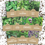 Organic_Herb_Seeds_Variety_Pack_-_10_Individual_Packs_-_2025_Season_-_Basil,_Cilantro,_Dill,_Thyme,_Parsley_and_More!_for_Indoor_&_Outdoor_Planting_(Non-GMO,_Certified_Organic)