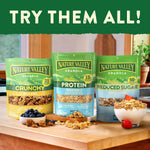 Nature_Valley_Protein_Granola,_Oats_and_Honey_Granola,_Resealable_Snack_Pouch,_11_oz