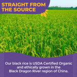 Lotus_Foods_Organic_Forbidden_Rice_-_Black_Rice_Organic,_Purple_Rice,_Black_Rice_Bulk,_Gluten_Free_Heirloom_Rice,_Whole_Grain,_Non_GMO,_Vegan_-_15_Oz_Bag_(Pack_of_1)