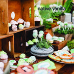 10_Organic_Madagascar_Vanilla_Beans_-_Gourmet_Grade_A_Premium_Vanilla_Pods_-_For_Vanilla_Extract_&_Baking_-_For_Cooking,_Desserts_&_More_-_100%_Vegan_&_Kosher_-_Non-GMO_&_Gluten-Free_-_Native_Vanilla