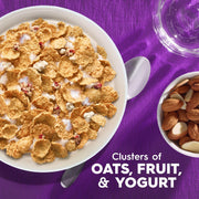 Kellogg's_Special_K_Breakfast_Cereal,_Family_Breakfast,_Fiber_Cereal,_Giant_Size,_Fruit_and_Yogurt,_22oz_Box_(1_Box)