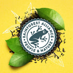 Lipton_Cold_Brew_Iced_Tea_Bags,_Family_Size_Zero_Calories,_Easy-To-Make_with_no_boiling_needed,_22_Total_Tea_Bags