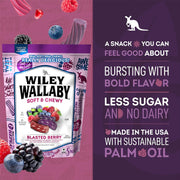 Wiley_Wallaby_Licorice_10_Ounce_Classic_Gourmet_Soft_&_Chewy_Australian_Blasted_Berry_Candy_Twists,_1_Pack