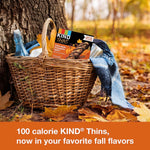 KIND_THINS_Chocolate_Pumpkin_Spice_with_Almonds_&_Peanuts,_Gluten_Free,_100_Calorie,_Healthy_Snacks_(Pack_of_1,_10_Count_Total)