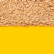 Yupik_Organic_Whole_Oat_Groats,2.2_lb_(35.2_oz),_Non-GMO,_Vegan,_Kosher,_Raw,_Whole_Grain_Oats,_Salt-Free,_Nutty_Flavor,_Good_Source_of_Fiber,_Ideal_for_Baking_&_Cooking