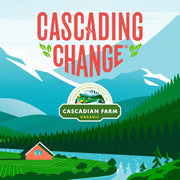 Cascadian_Farm_Organic_Chewy_Granola_Bars,_Dark_Chocolate_Chip,_Value_Size,_10_Bars,_12.3_oz