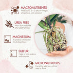 Orchid_Plant_Food_-_Bloom_Booster_Fertilizer_Pellets_for_Orchids_in_Pots_-_Slow_Release_Nutrients_for_Healthy_Flower_&_Reblooms