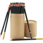 Colored_Pencils_for_Adult_Coloring_Books,_72_Colors_Drawing_Pencils_with_Oil-Based_Cores,_Professional_Art_Supplies_for_Artists,_Coloring_Pencils_for_Adults,_Color_Pencils_Set_for_Beginners_and_Teens.