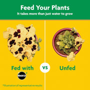 Miracle-Gro_Water_Soluble_All_Purpose_Plant_Food