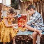 Honey_Nut_Cheerios_Cereal,_Limited_Edition_Happy_Heart_Shapes,_Heart_Healthy_Cereal_With_Whole_Grain_Oats,_Giant_Size,_27.2_oz