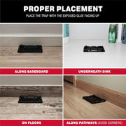 Catchmaster_Pre-Scented_Glue_Traps_-_Pet_Safe_Pest_Control_for_Mice,_Insects_in_Home_&_Garage