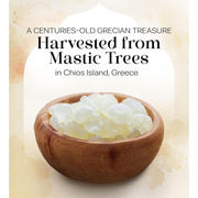 Cerez_Pazari_Natural_Mastic_Gum_0.88_oz_-_Vegan,_Non-GMO,_Sugarless_Made_from_Resin_of_Mastiha_Trees,_Jaw_Exerciser_Candy,_Snack