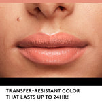 Covergirl_Outlast_All-Day_Lip_Color_With_Topcoat,_Natural_Blush_Gloss_Lipgloss_Lipstick_Makeup_Cosmetic_Glossy_Lip_Care