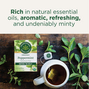 Traditional_Medicinals_Tea,_Organic_Peppermint,_Soothes_Your_Belly,_Refreshing_&_Minty,_16_Tea_Bags