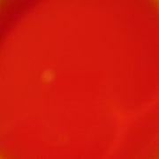 McCormick_Cake_Batter_Flavor,_McCormick's_Versatile_Baking_Extract_2_fl_oz