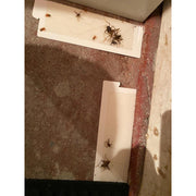Glue_Traps_12_Glue_Boards_Trap_Mouse_Bugs_Insects_Bed_Bugs_Spiders_Cockroaches_Non-Toxic