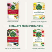 Traditional_Medicinals_Organic_Immune_Zoom_Lemon_Ginger_Tea_-_16_Ct.