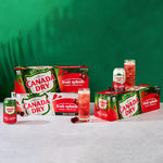 Fruit_Splash_Cherry_Ginger_Ale_Zero_Sugar_Soda,_12_fl_oz_cans,_12_pack