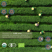 MatchAiA_Premium_Culinary_Grade,_USDA-Certified_Organic_Matcha,_100%_Pure_Green_Tea_Powder,_Perfect_for_Lattes,_Smoothies,_Desserts_and_Baking,_Sugar_Free,_Gluten_Free_(60g_/_2.1oz_Pouch)