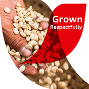 NESCAFE_Cafe_de_Olla,_Cinnamon_Flavored_Instant_Coffee,_6.7_oz._Jar