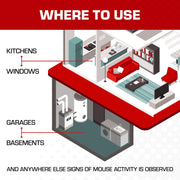 Tomcat_Glue_Traps_Mouse_Size_with_Eugenol_for_Enhanced_Stickiness_for_Mice,_Cockroaches,_and_Spiders